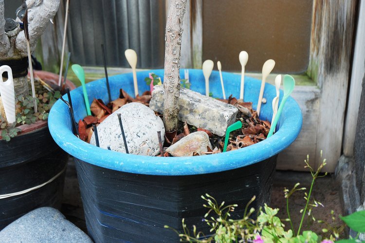 マドラーがたくさん刺さった鉢。