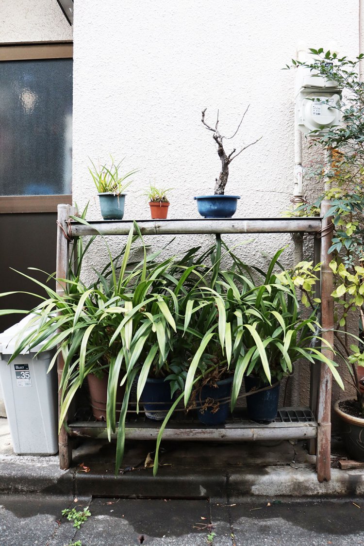 竹とグレーチング蓋を組み合わせたオリジナルの土台。