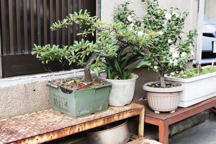 「転職鉢」界ではお馴染みの漬物樽。