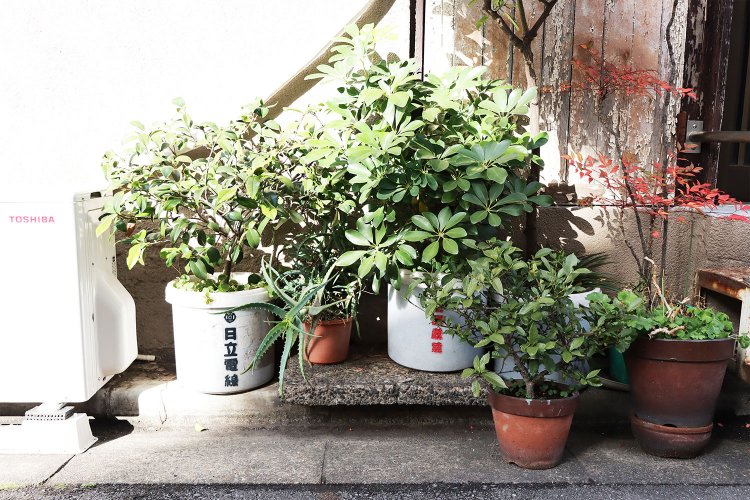 「日立電線」のロゴ入りの転職鉢。