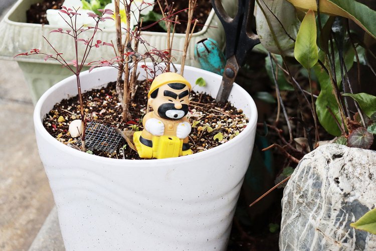 鉢の土をならす土木作業員。