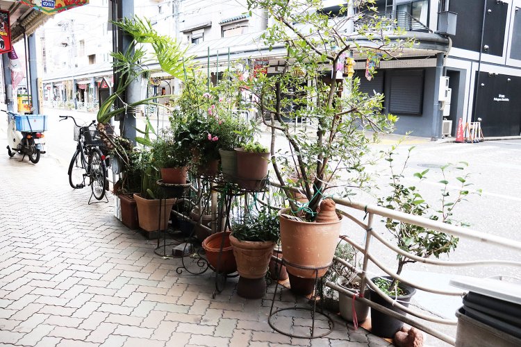 鉢植えに溢れる商店街。