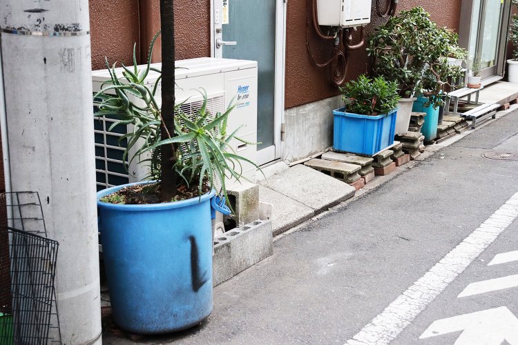 青いポリバケツに、青い収納ケースの転職鉢。