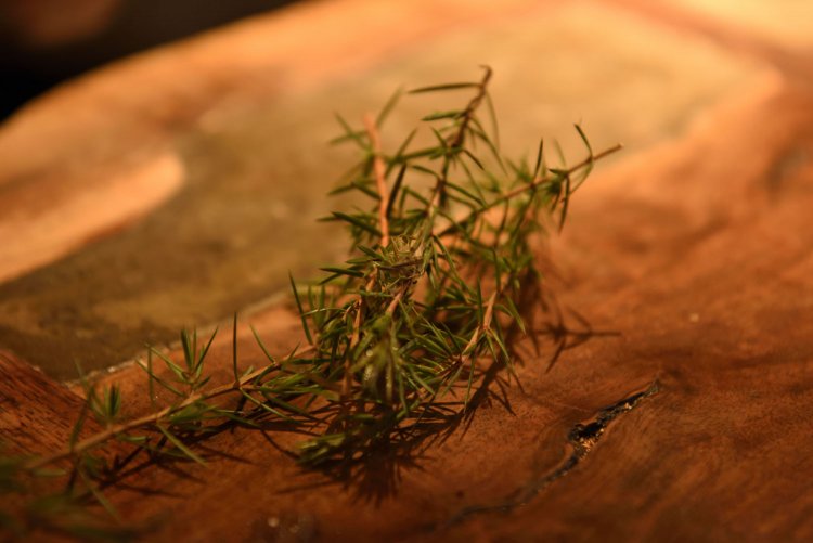 自家栽培のネズを使う日も。