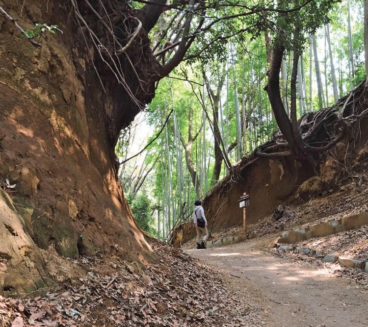 【東京発日帰り旅】東京・町田市　～布田道（ふだみち）を抜け、小野路宿（おのじじゅく）へ～