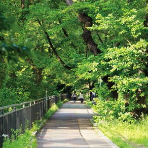 【大江戸散歩コース】飯田橋・市ケ谷・四ツ谷～武家屋敷が集積する街。江戸切絵図はここから生まれた～