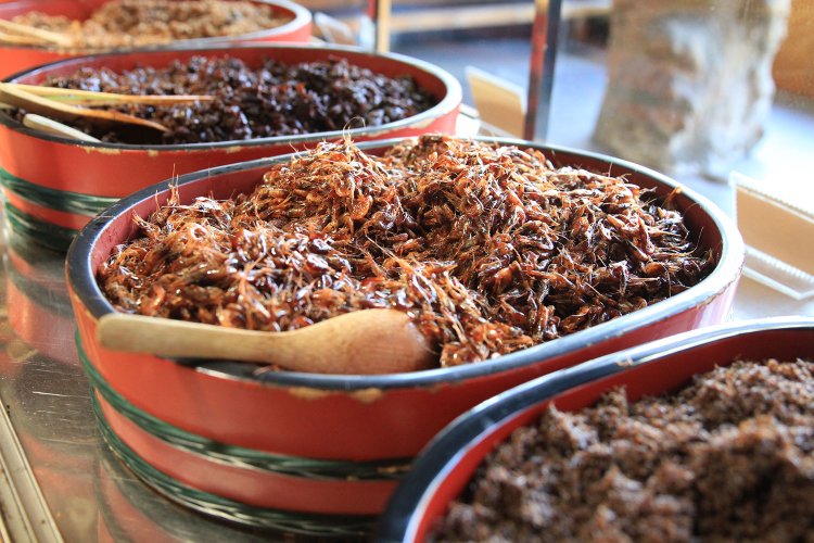 漆の器から、昔ながらの量り売りで売ってくれる『佃源田中屋』。注文は100g以上から。