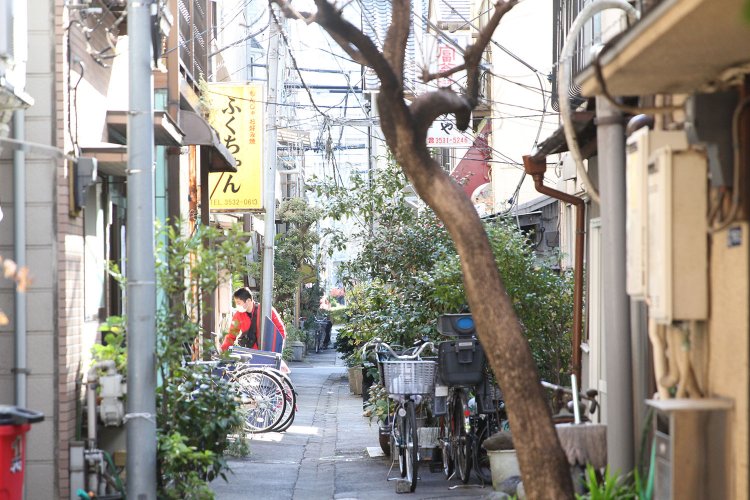 月島の路地は鉢植えアートの宝庫。車が入れない細い路地に出合うと、なんだかうれしい。