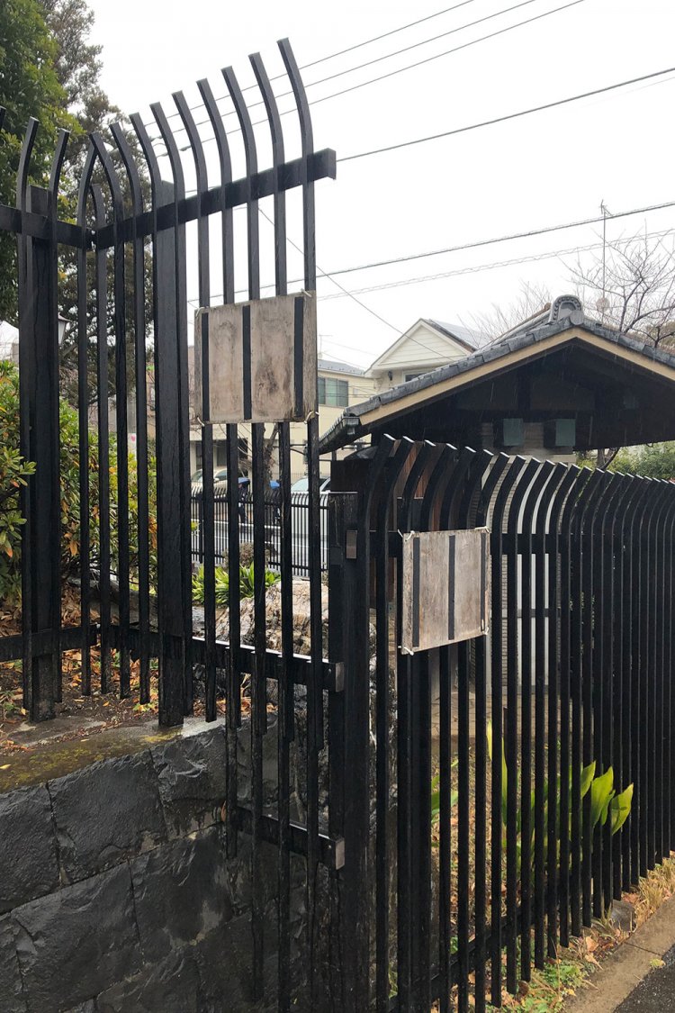 Poor mimicries 《下手な擬態》