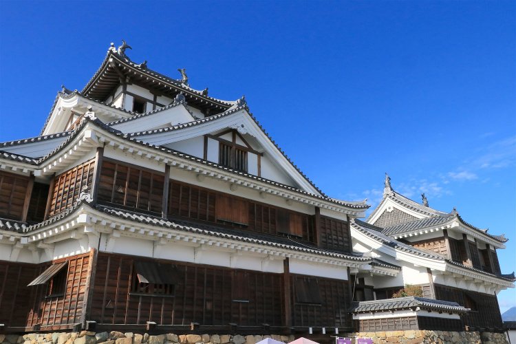 大小天守が仲良く並ぶ。