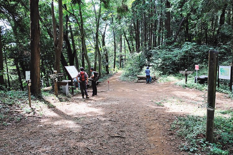 梅の木バス停から来る道と合流する三沢峠。五差路になっている。