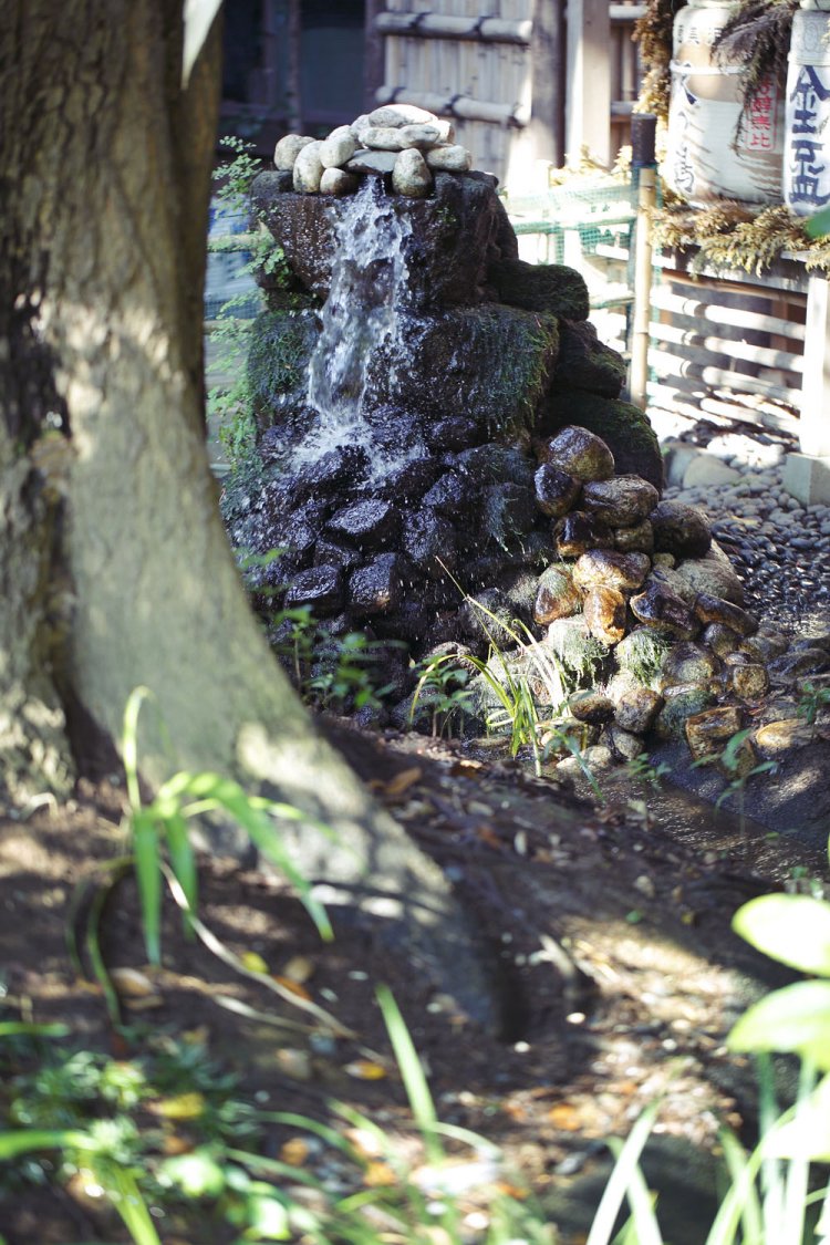 参道横のせせらぎが、一時の涼を与えてくれる。