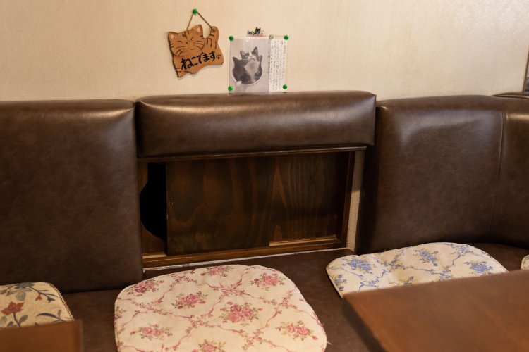 2階とお店をつなぐ猫専用通路。