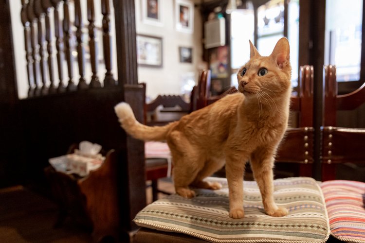 17歳のタモンさん。