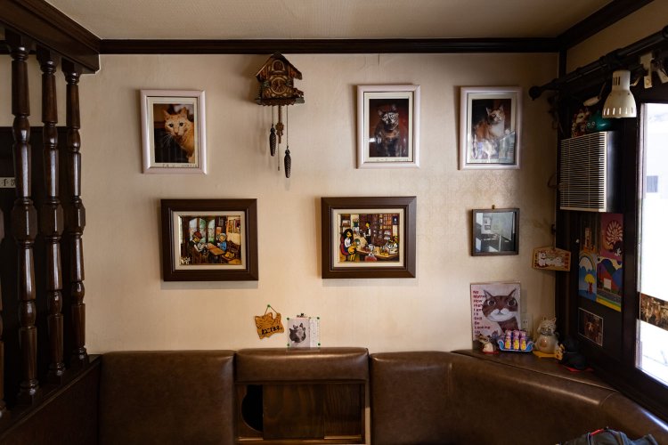 3枚の看板猫写真の下には店内の様子を描いた絵が。お店の雰囲気に合ったとても温かみのある絵です。