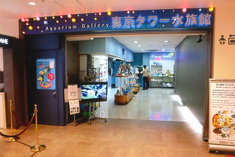 東京タワー水族館01