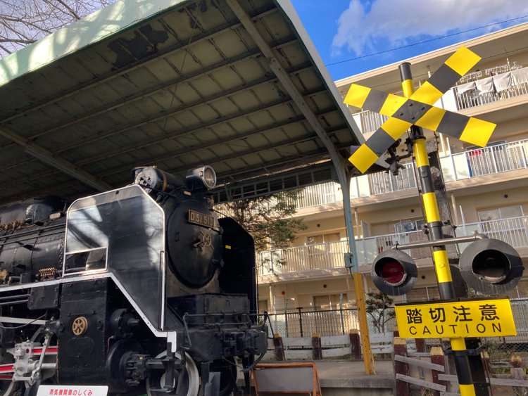 板橋城北公園のD51。隣接する団地とのギャップが興味深い（2021年）