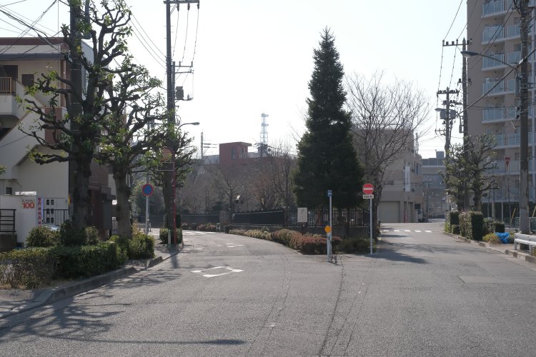 須賀線の廃線跡。“第２宮江踏切”から分かれた道路が、この写真の左の道にあたる。写真中央部は王子四丁目公園。