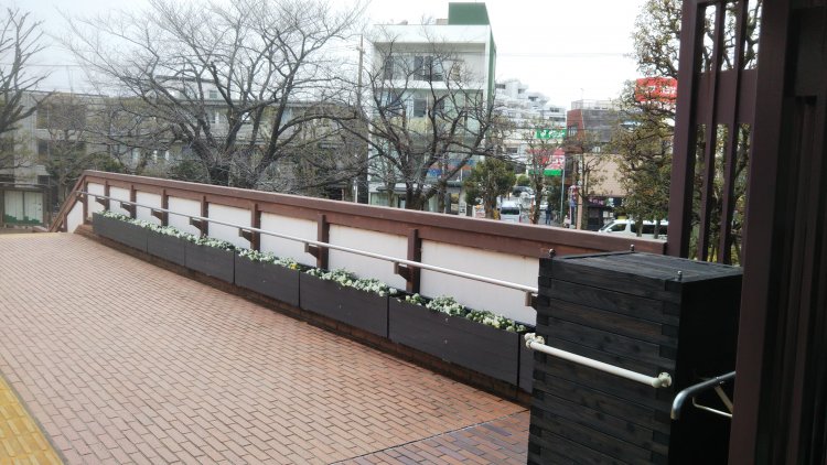 区役所の内側から外景（映画とほぼ同じアングル）。このシーンの後に寅さん＆源公による「あなたの声をお聞かせください」ギャグが続く。