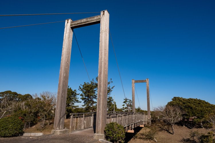 空の広さが際立つ園内。九十九里浜とは保安林で隔てられている。