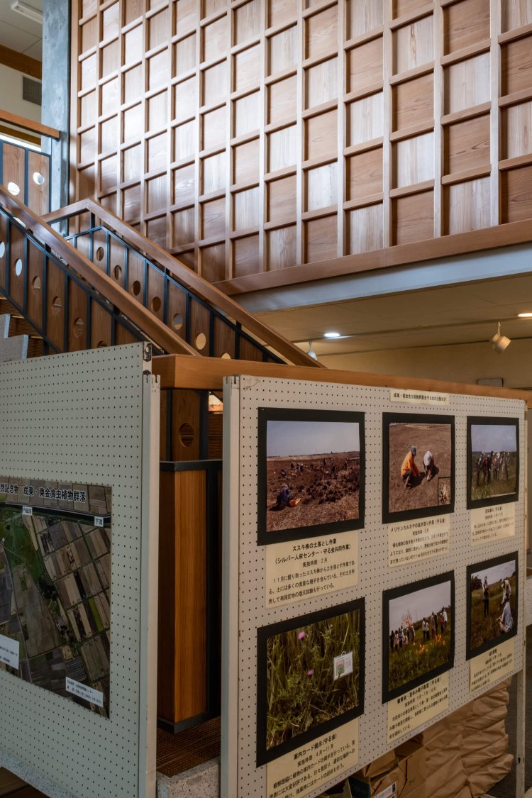 地元の山武杉が壁材などに用いられている資料館内の様子。