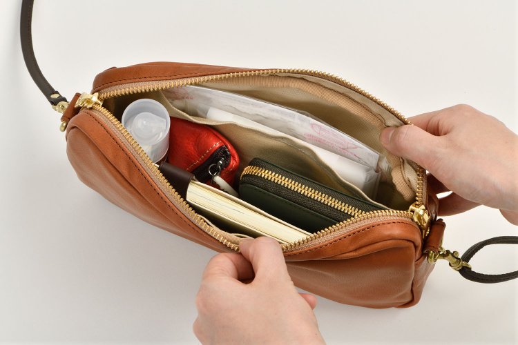 アジリティジャパン　シュバルミニショルダー II　技ありポイント