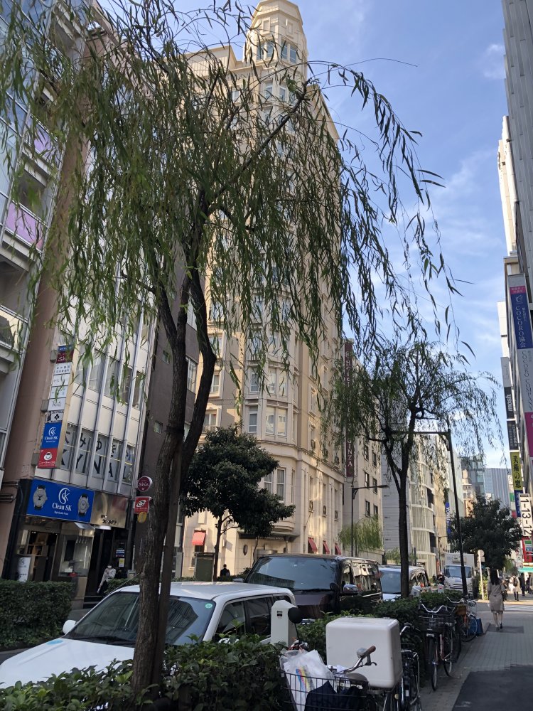 昭和62年（1987）には一部で柳の街路が復活……したけど、昔ほどには存在感がない。