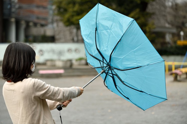 AMVEL TOUGHNESS MINI (3)