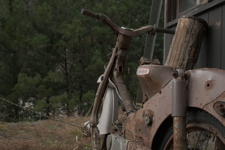 蟆丞柱逕ｰ鬧・6FKJ1750