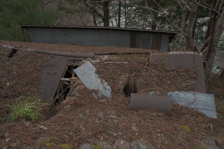 小道から見える工場跡の屋根は朽ちていた。