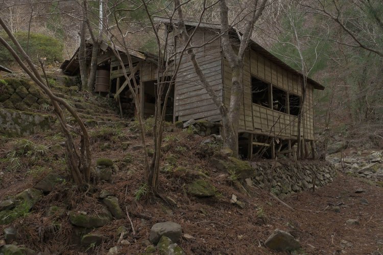 製茶工場の跡。