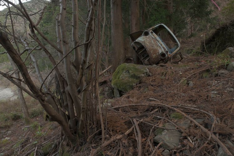 蟆丞柱逕ｰ鬧・6FKJ1710