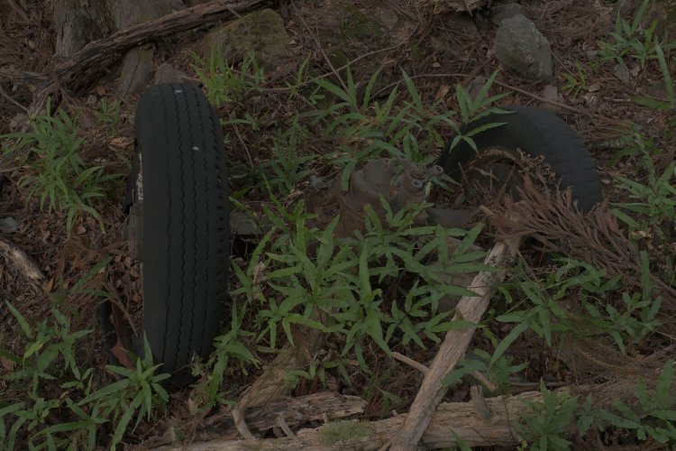 後輪はごっそりと外されたようだ。