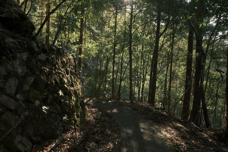 蟆丞柱逕ｰ鬧・6FKJ1606