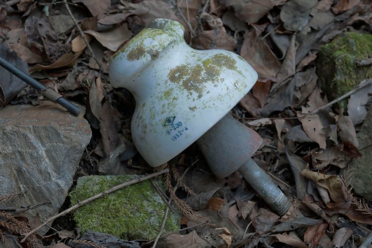 飯田線の法面には碍子（がいし）が遺棄されていた。