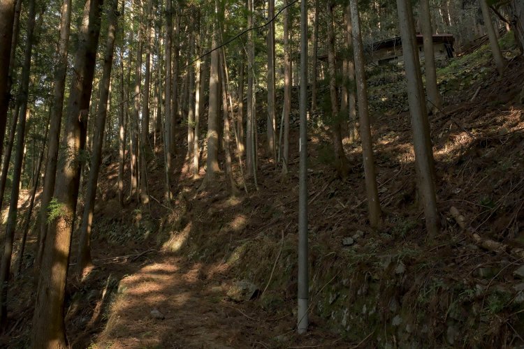 廃屋も残っていた。