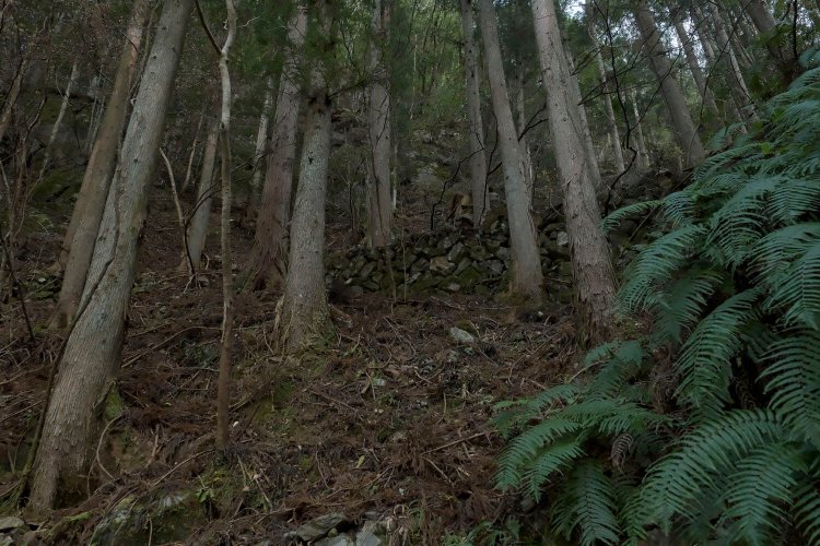 山の斜面には住居跡と思しき石垣があった。