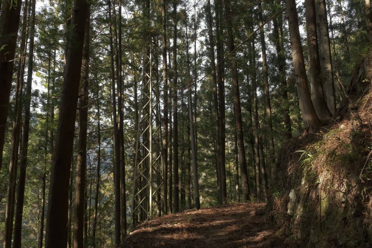 突如として現れる索道跡の鉄塔。