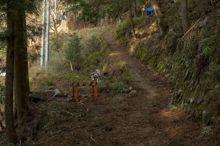 蟆丞柱逕ｰ鬧・6FKJ1613