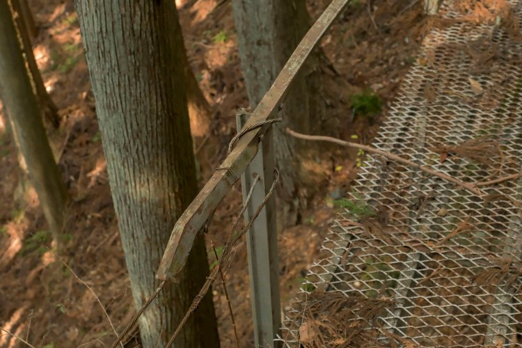 トロッコ用のレールが使われていた。