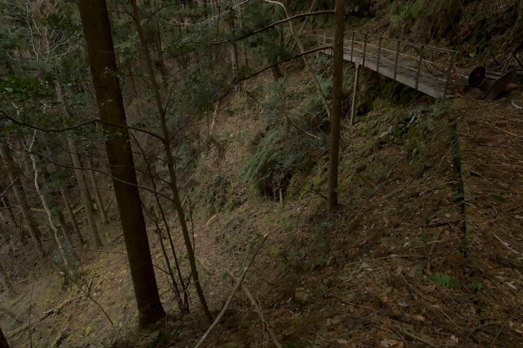 しばし歩いていくと橋が崩れて窪地へ降りる迂回路となった。この先で引き返す。