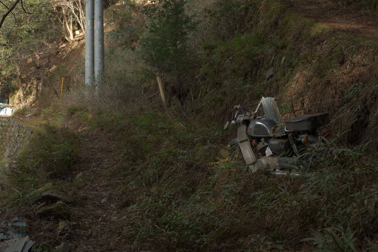 蟆丞柱逕ｰ鬧・6FKJ1614