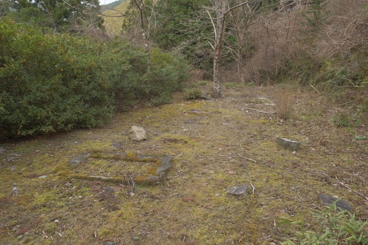 蟆丞柱逕ｰ鬧・6FKJ1736