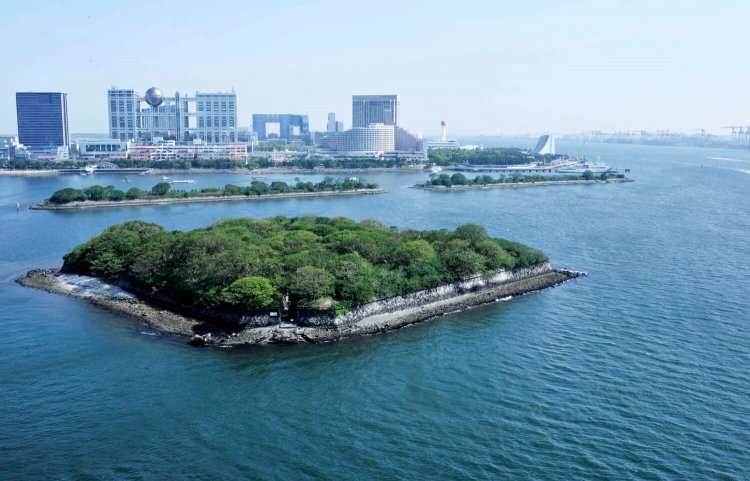 サウスルートから眺めた台場公園とお台場エリアのビル群。