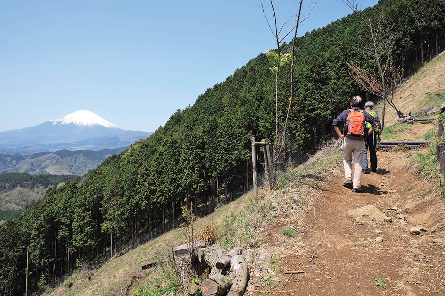 山頂にはまだ遠いが、富士山はときどき顔を出してくれる。大野山はまさに富士山を満喫できる山のひとつだ。