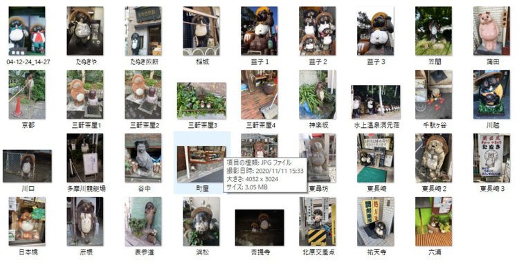 タヌキの写真コレクションの一部