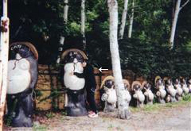 ツーリング先の洞元湖温泉でもタヌキを撮る（2002年）