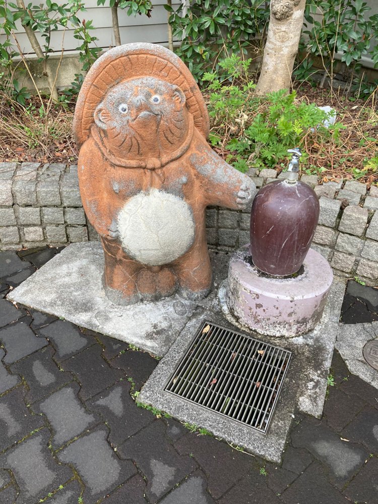 緑道で水道としてはたらくタヌキ（2021年）