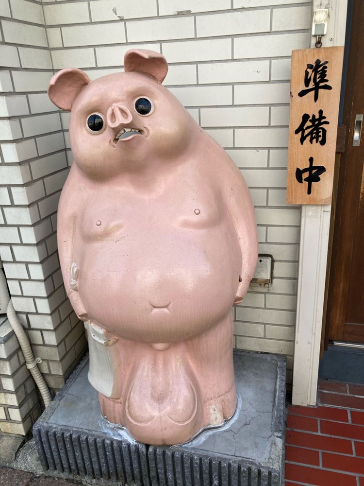 タヌキが化けていることが明らかなブタ（2021年）