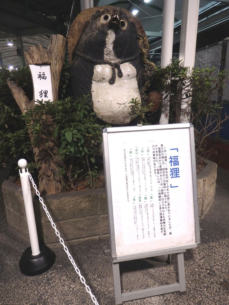 ボートレース場の福狸。御利益ありそう（2017年）